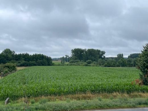Presentatiebeeld van het pand n° 284923