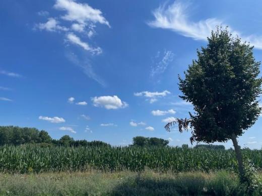 Eerste alternatieve foto van het pand