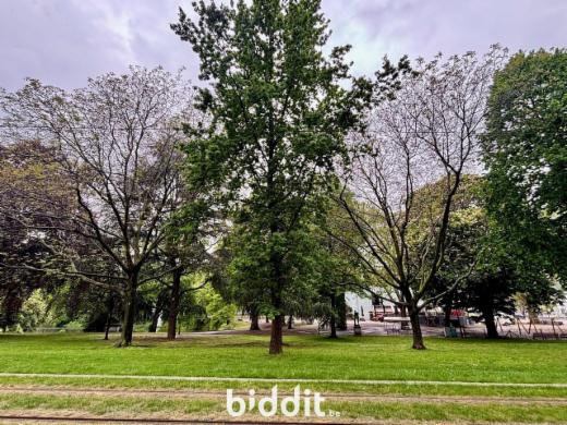 Eerste alternatieve foto van het pand