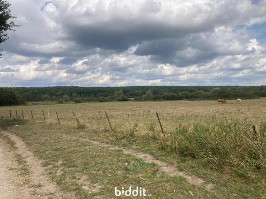 Eerste alternatieve foto van het pand