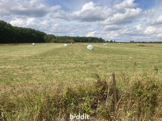 Tweede alternatieve foto van het pand