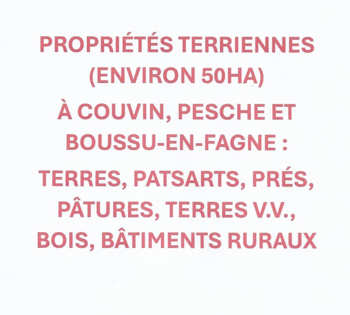 Presentatiebeeld van het pand n° 289809