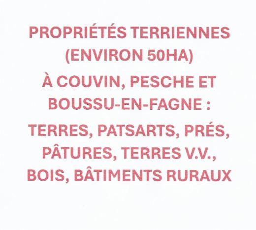 Presentatiebeeld van het pand n° 289809