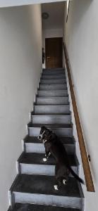 Eerste alternatieve foto van het pand