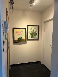 Eerste alternatieve foto van het pand