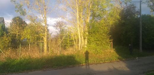 Presentatiebeeld van het pand n° 289862