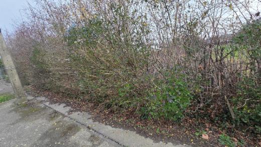 Derde alternatieve foto van het pand