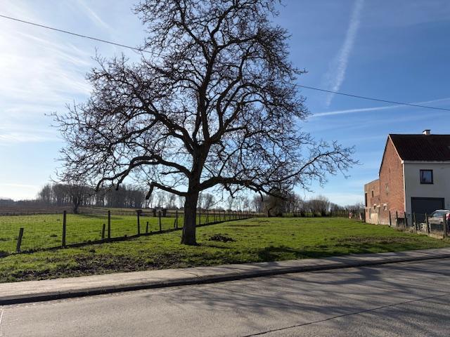 Presentatiebeeld van het pand n° 294095