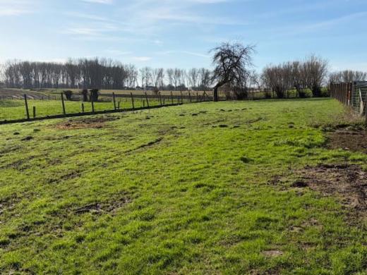 Tweede alternatieve foto van het pand