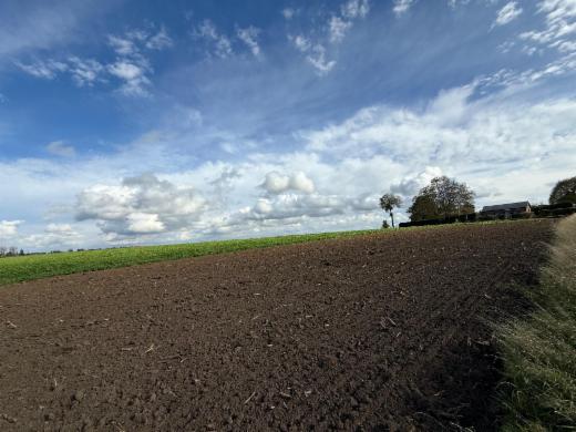 Derde alternatieve foto van het pand