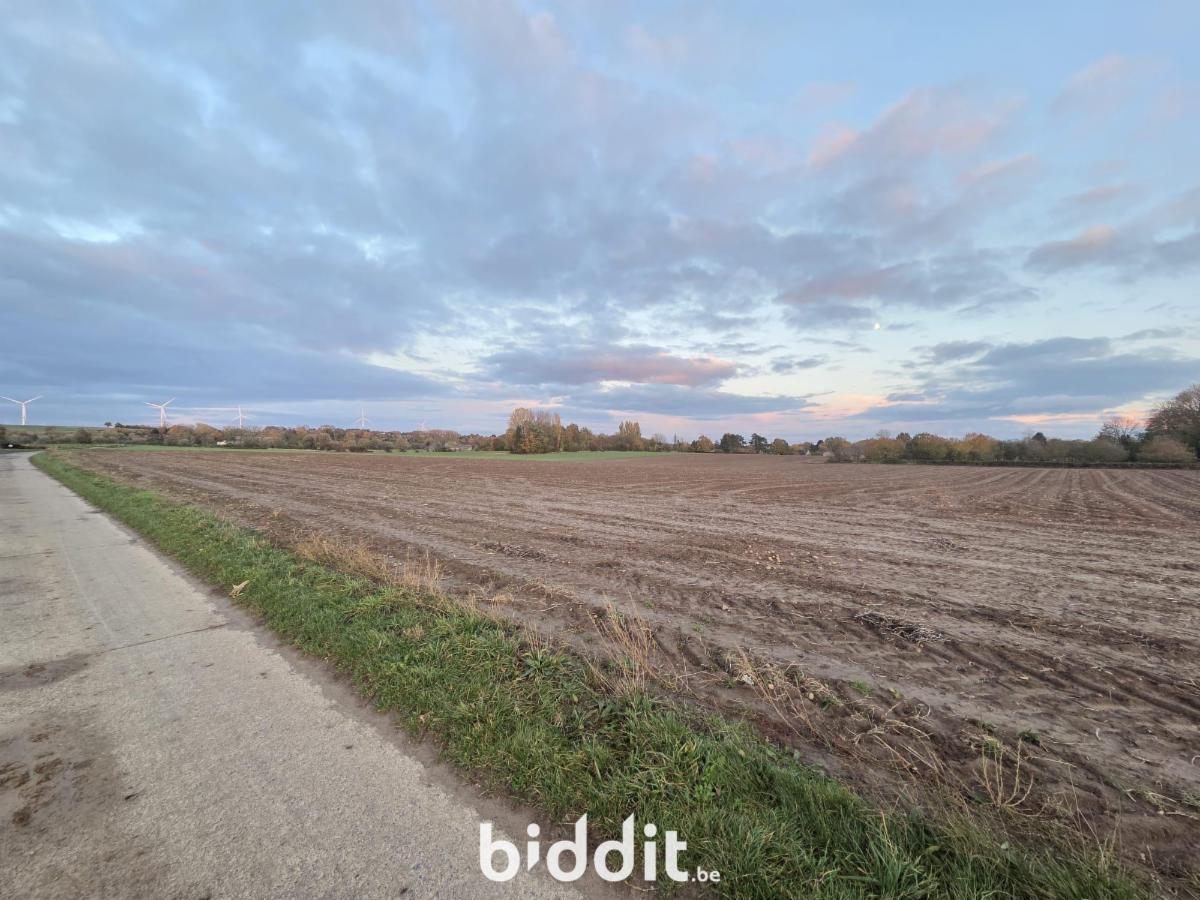 Presentatiebeeld van het pand n° 292193