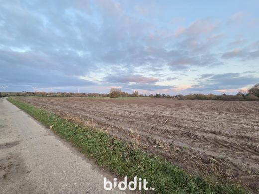 Presentatiebeeld van het pand n° 292193