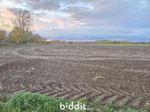 Eerste alternatieve foto van het pand