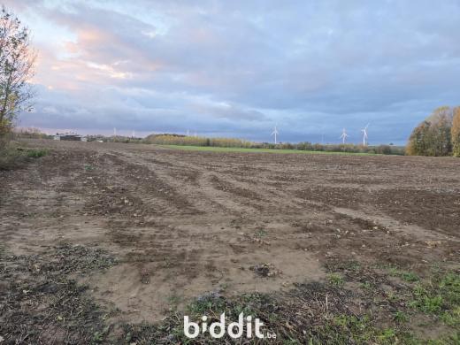 Tweede alternatieve foto van het pand