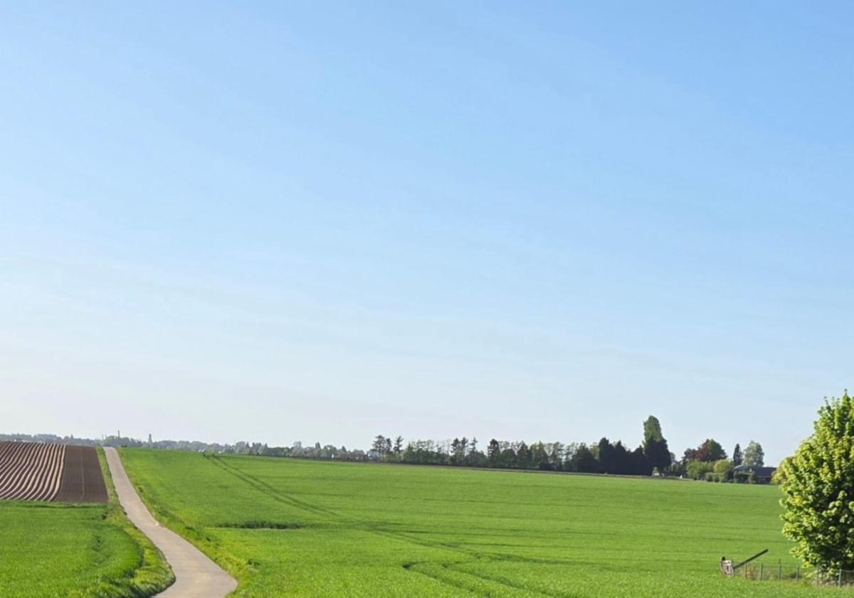 Presentatiebeeld van het pand n° 298147
