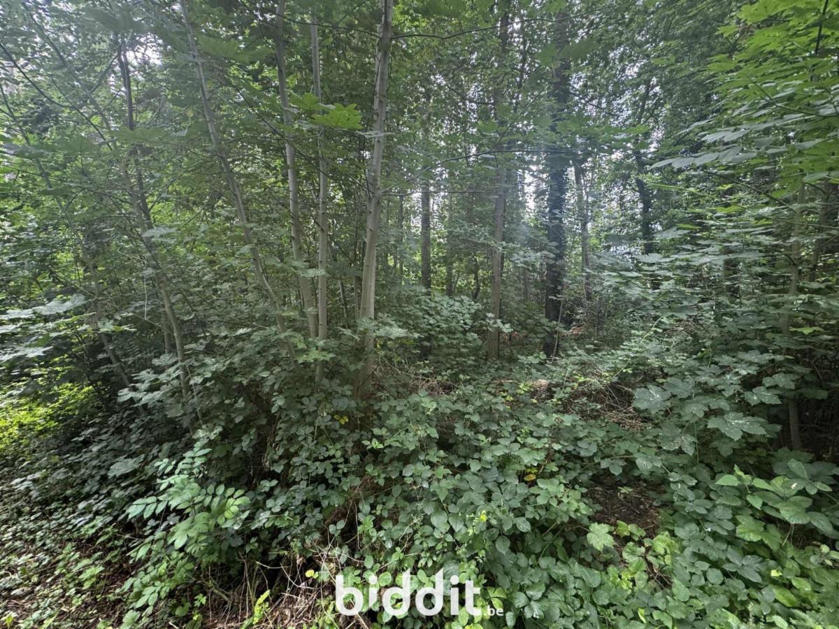 Presentatiebeeld van het pand n° 292347