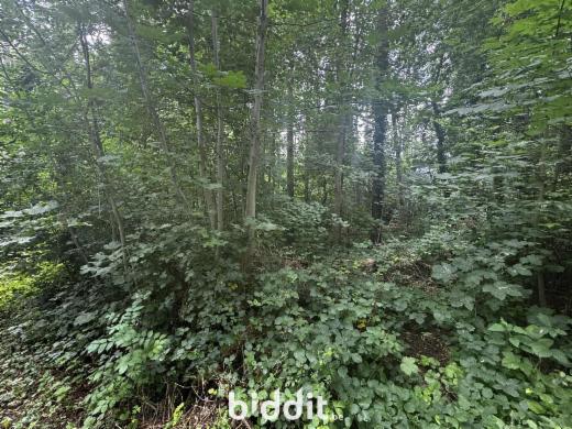 Presentatiebeeld van het pand n° 292347