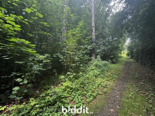 Eerste alternatieve foto van het pand