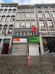 Presentatiebeeld van het pand n° 289501