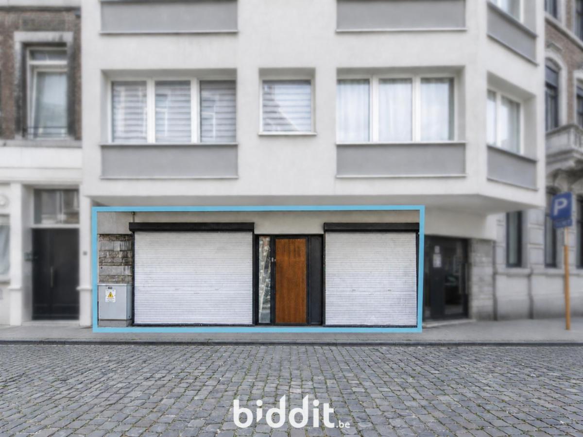 Presentatiebeeld van het pand n° 293899