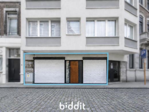 Presentatiebeeld van het pand n° 293899