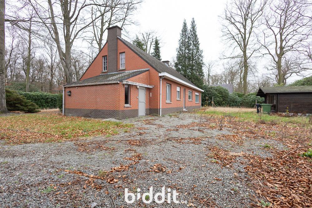 Presentatiebeeld van het pand n° 294302