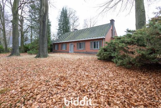 Presentatiebeeld van het pand n° 294302