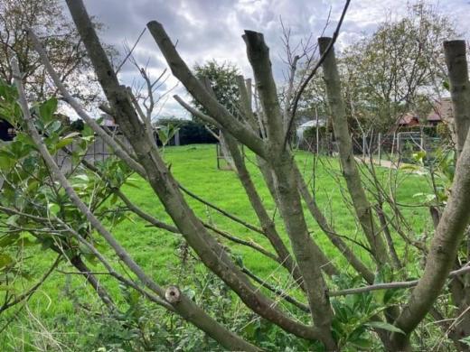 Tweede alternatieve foto van het pand