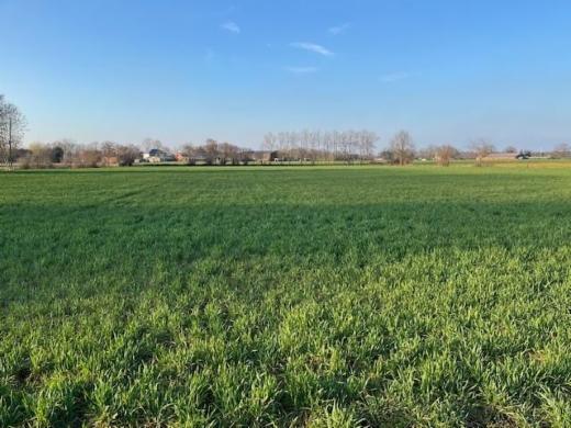 Tweede alternatieve foto van het pand