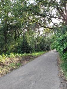 Tweede alternatieve foto van het pand