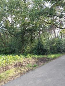Derde alternatieve foto van het pand