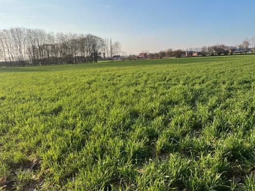 Tweede alternatieve foto van het pand