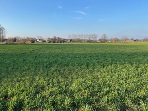 Eerste alternatieve foto van het pand