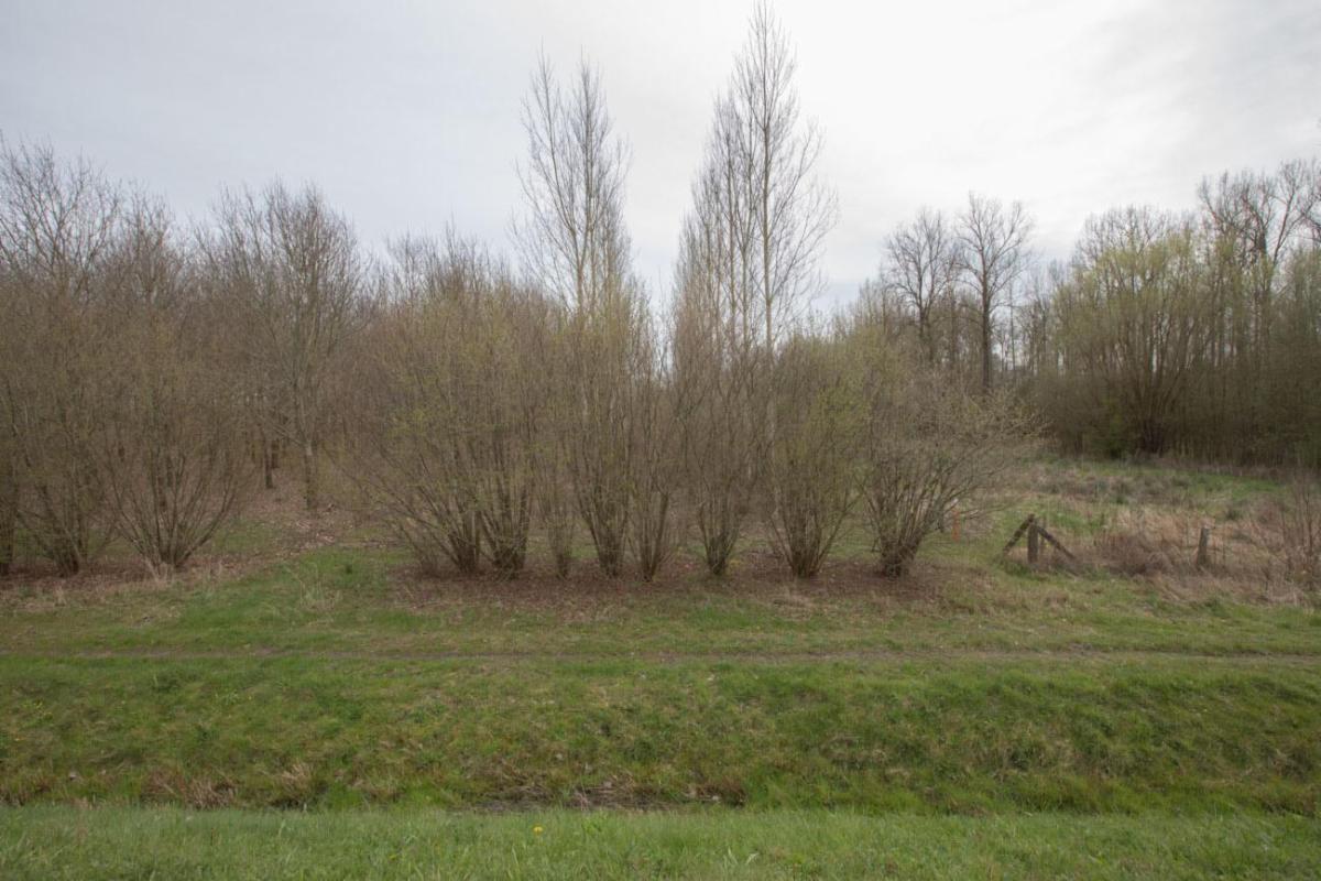 Presentatiebeeld van het pand n° 294698