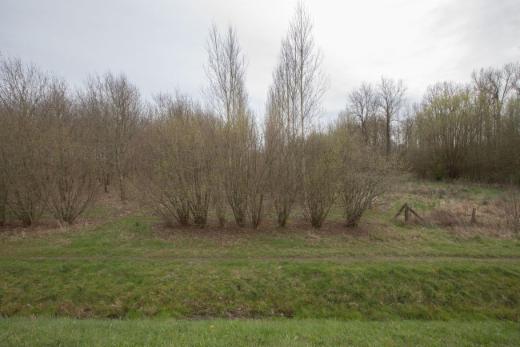 Presentatiebeeld van het pand n° 294698