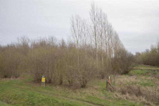 Tweede alternatieve foto van het pand