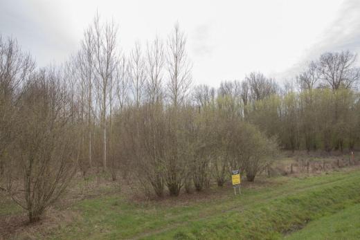 Derde alternatieve foto van het pand