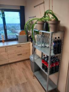 Eerste alternatieve foto van het pand