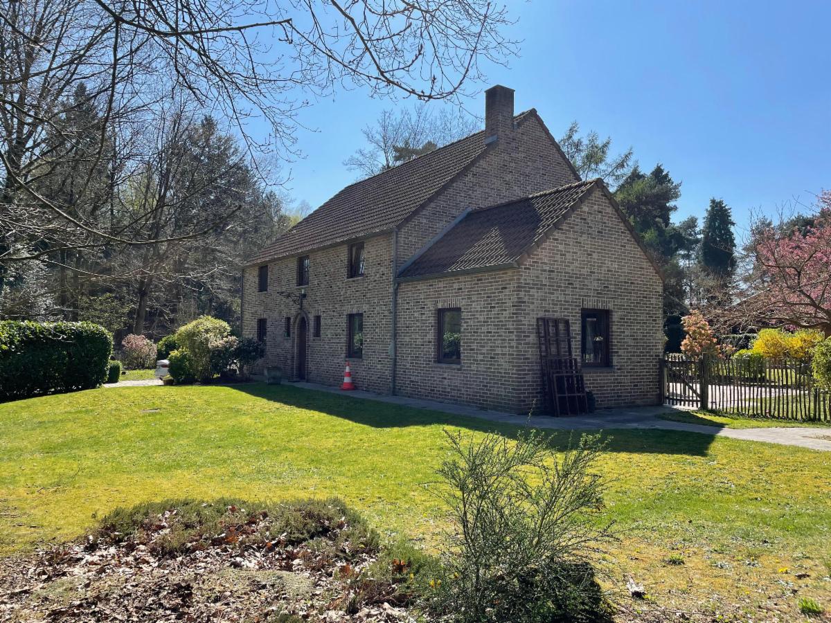 Presentatiebeeld van het pand n° 295276