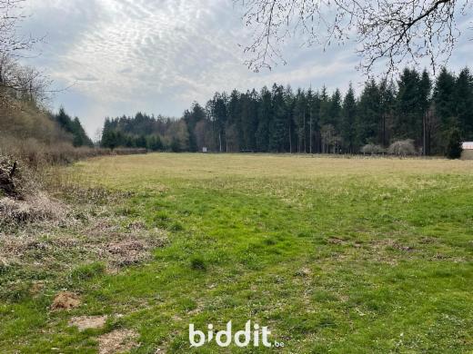 Eerste alternatieve foto van het pand