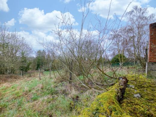 Derde alternatieve foto van het pand