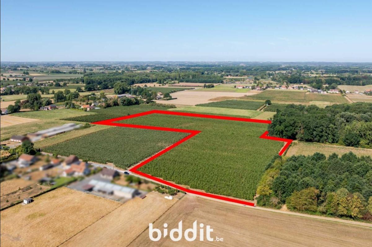 Presentatiebeeld van het pand n° 299421