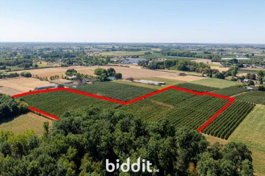 Derde alternatieve foto van het pand