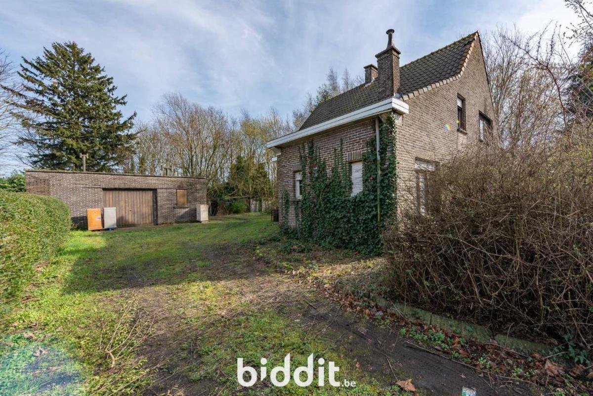 Presentatiebeeld van het pand n° 294968