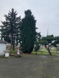 Derde alternatieve foto van het pand