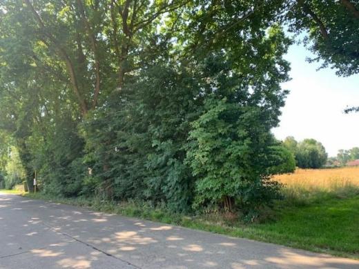 Tweede alternatieve foto van het pand