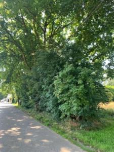 Derde alternatieve foto van het pand
