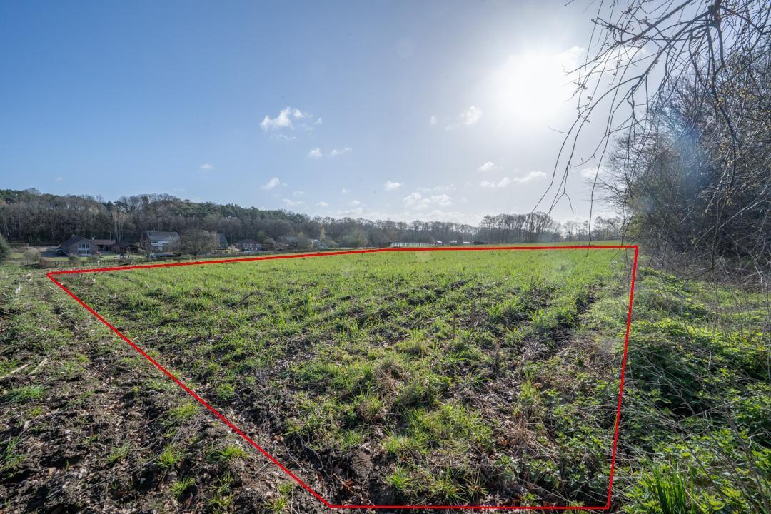 Presentatiebeeld van het pand n° 294816