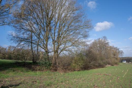 Derde alternatieve foto van het pand