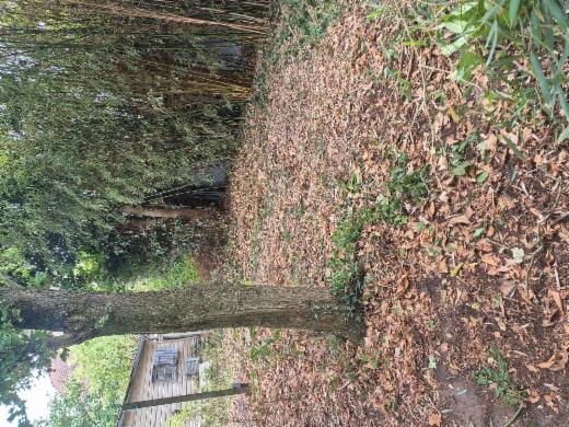 Eerste alternatieve foto van het pand